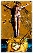 passionflower 12