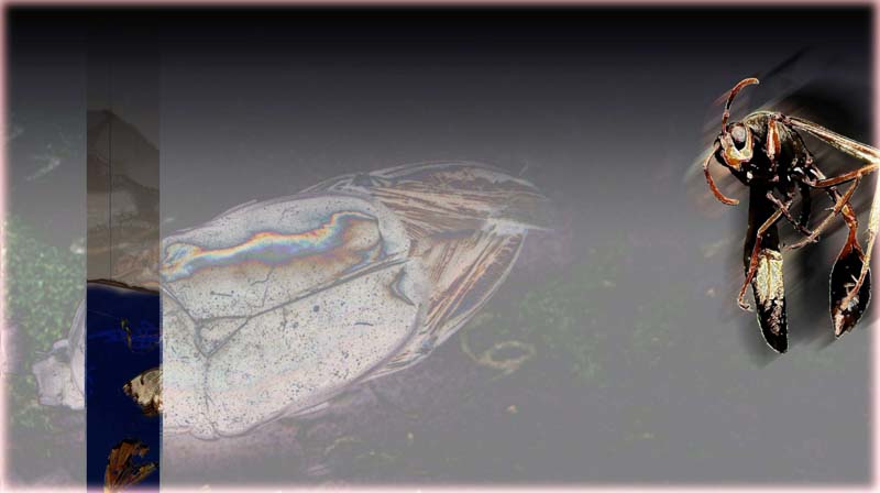 threshold 08