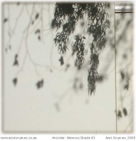 Memory Shade 03