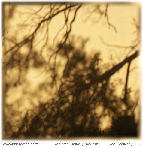 Memory Shade 05