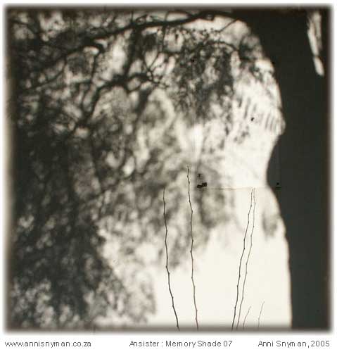Memory Shade 07