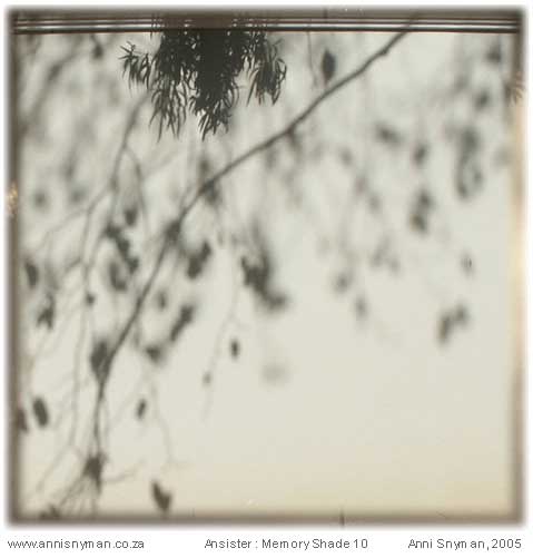 Memory Shade 10