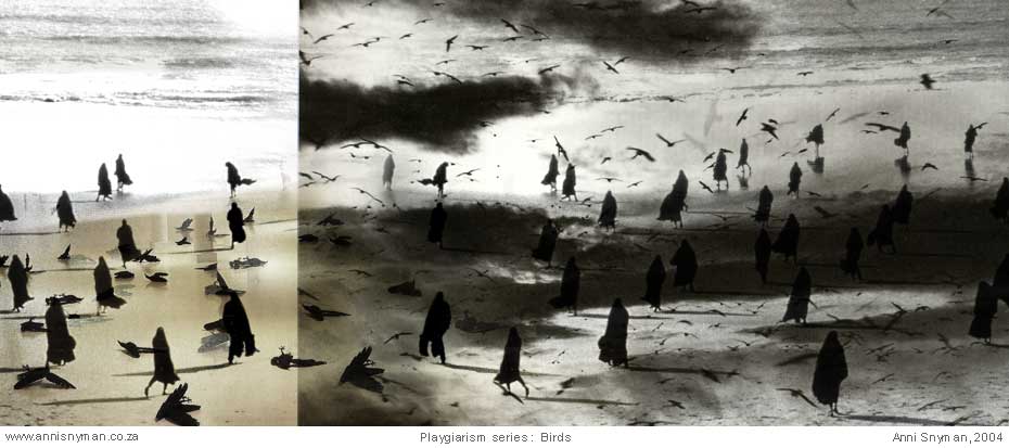 birds
