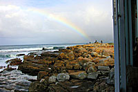 55 Pilot Whale's Rainbow
