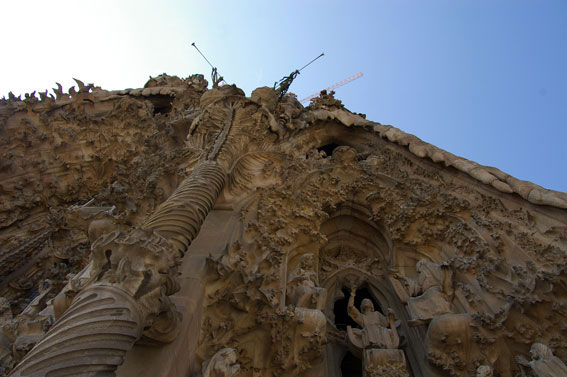 sagrada