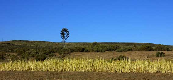 Blesfontein