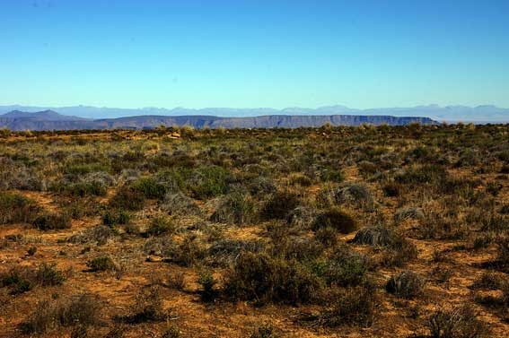 Blesfontein