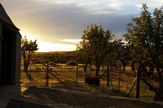 Blesfontein