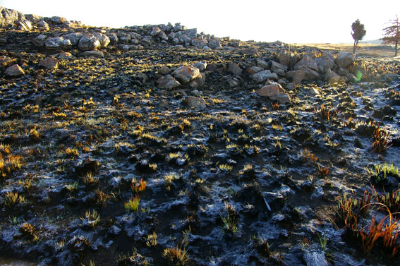 Blesfontein