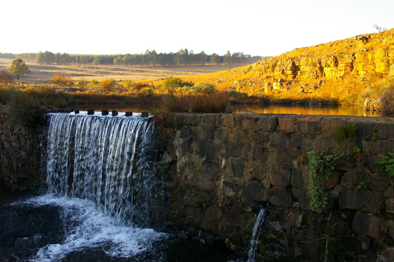 Blesfontein