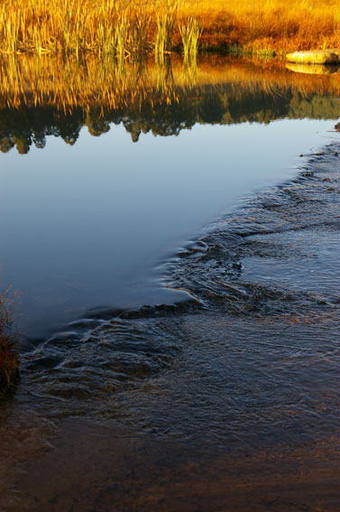Blesfontein