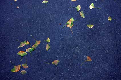 upper east side pavementscape 02