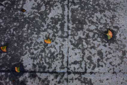 upper east side pavementscape 03