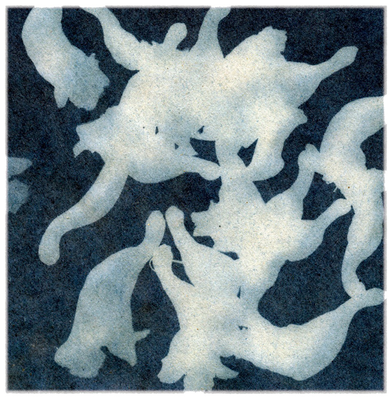 Fallen Jacaranda Blossoms