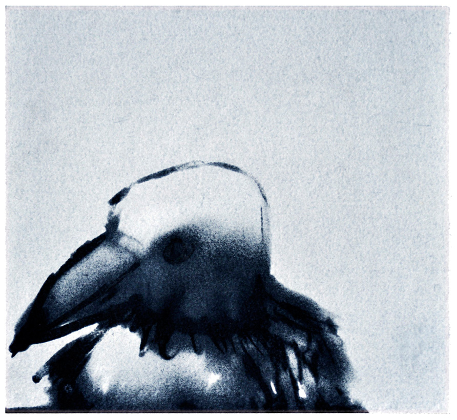 Member of the Jury 1