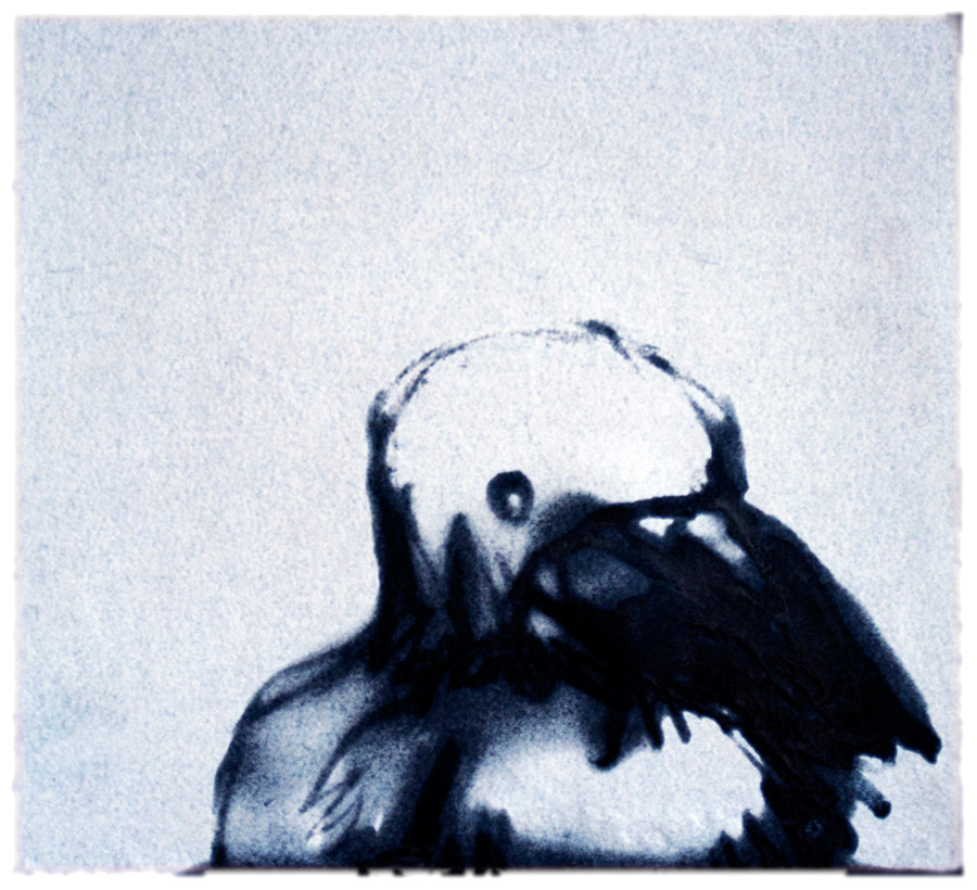 Member of the Jury 2