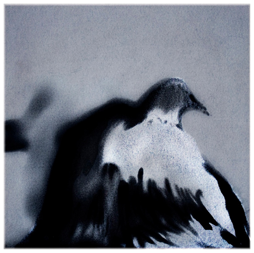 That scrap of beauty