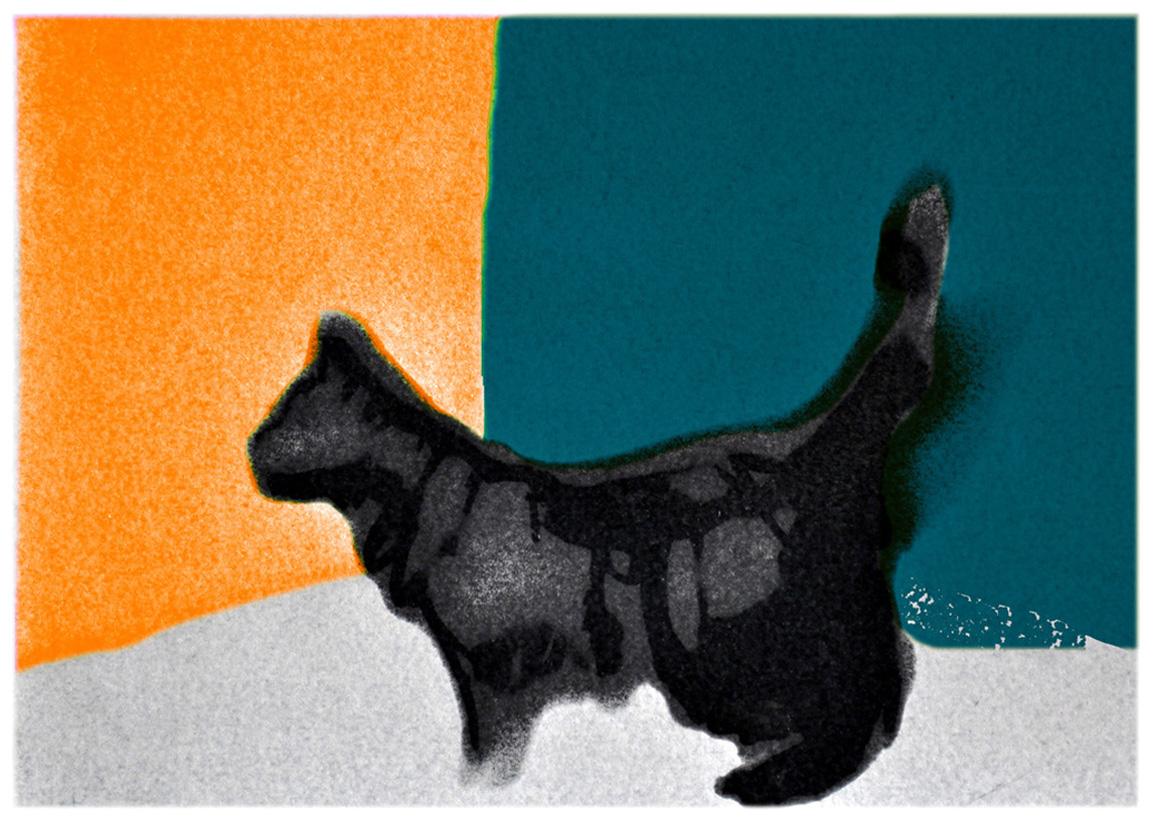 Time watches from the shadow